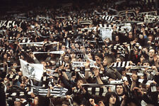 1969 fairs cup for sale 1969 fairs cup for sale  LEEDS