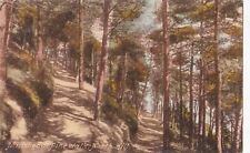 Minehead somerset pine for sale  WORTHING