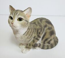 country artists cat for sale country artists cat for sale Onalaska
