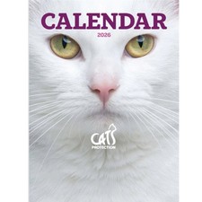 Cats calendar 2026 for sale  RADSTOCK