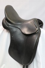 Schleese obrigado dressage for sale  Sacramento