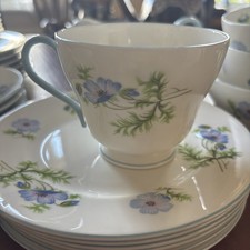 Shelley blue poppy for sale  BILLERICAY