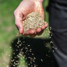 Grass seed hard for sale  PETERBOROUGH