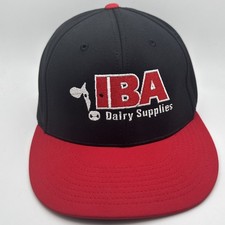 Iba dairy supplies for sale  Shakopee