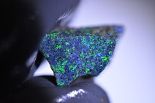 autec opal gebraucht kaufen autec opal gebraucht kaufen Lohfelden
