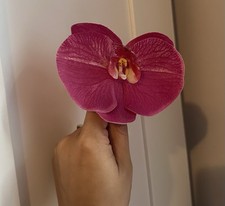 Faux purple orchid. for sale  Elmhurst