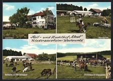 Niederzeuzheim westerwald gäs gebraucht kaufen  Berlin