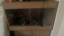 Glass vivarium used for sale  WIGAN