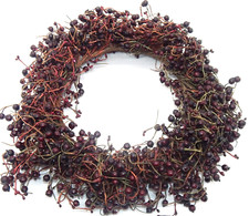 Red pip berry for sale  Loveland