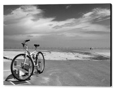 Boardwalk view bike for sale  High Point