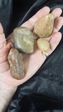 Hadrosaur dinosaur gastrolith for sale  Woodside