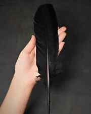 Black turkey feather for sale  Fort Myers