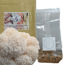 Mushroom spawn seed for sale  WORCESTER