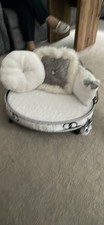 Small pretty dog for sale  SOLIHULL