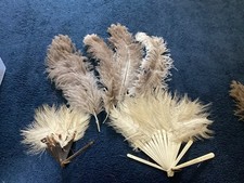 Antique ostrich feathers for sale  WIMBORNE
