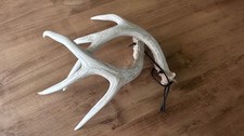 Whitetail deer rattling for sale  Colorado Springs