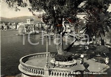 1954 rapallo scorcio usato  Milano