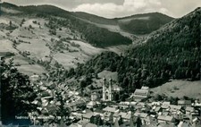 Ansichtskarte todtnau schwarzw gebraucht kaufen  Eggenstein-Leopoldshafen