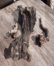 Treibholz schwemmholz 63 gebraucht kaufen  Hilden