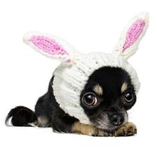 Bunny dog costume for sale  Lincoln