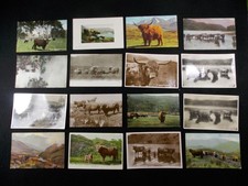 Lot vintage postcards for sale  Aubrey