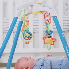 Baby play gym for sale  USA