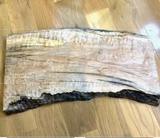 Big leaf maple for sale  Camas