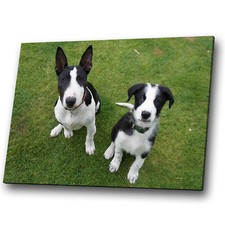 Animal canvas prints for sale  STRABANE