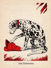 Sweet vintage dalmatian for sale  Harborton