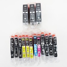 Printer ink 250xl for sale  Hackettstown