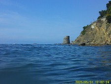 Raro... usato  Milano