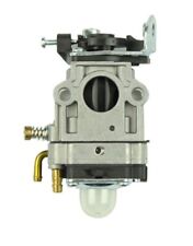 Carburatore decespugliatore mi usato  Giarre