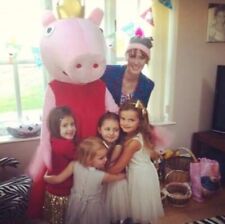 Peppa adult mascot for sale  BEWDLEY