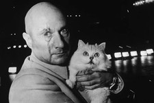 James bond blofeld for sale  KNUTSFORD