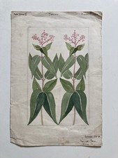 Vintage 1940s botanical for sale  LONDON
