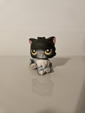 Lps littlest pet for sale  White