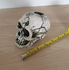 Aquatics cracked skull for sale  GLASGOW