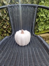 small pumpkin for sale  HALESOWEN