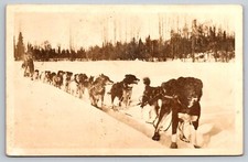 Postcard rppc harness for sale  Newtown