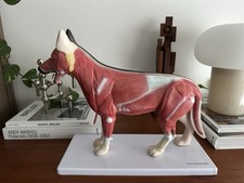Heinescientific zerlegbar mode gebraucht kaufen  Berlin