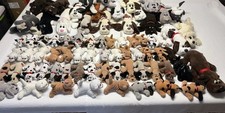 Massive pound puppies for sale  Bella Vista