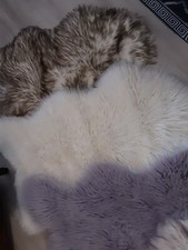 Edelzeit fell fellteppich gebraucht kaufen Edelzeit fell fellteppich gebraucht kaufen  Auerbach