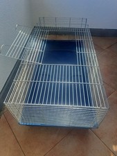 Meerschweinchen der hasenkäfi gebraucht kaufen  Filderstadt