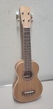 Cordoba 15sm mahogany for sale  Granger