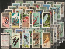 Brooke bond canada for sale  COLNE