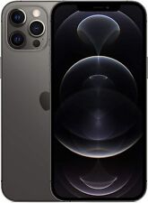 Usado, Apple iPhone 12 Pro Max 128GB - Grafite, Usado Excelente comprar usado  Enviando para Brazil