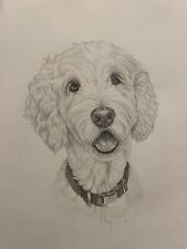 Custom pet portraits. for sale  Venice