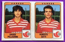 Varese pellegrini gatti usato  Italia