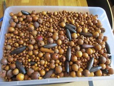 Lot perles bois d'occasion  Servian