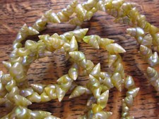 kelp for sale kelp for sale BAKEWELL
